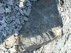 rocks Joggins