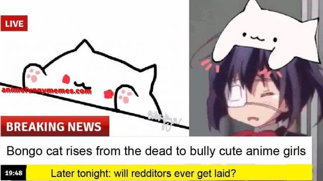 Featured image of post Funny Anime Cat Pfp