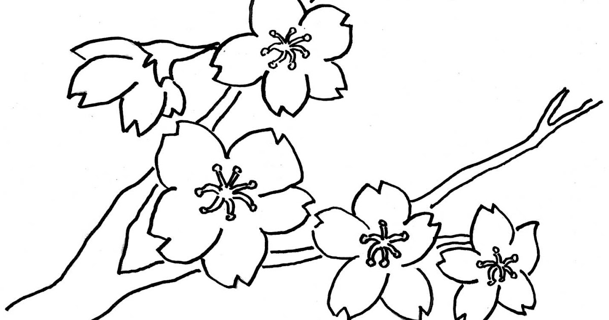 Menggambar Sketsa Gambar Batik Bunga Yang Mudah Digambar Di Buku Gambar