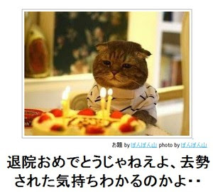 トップ100 動物 大 爆笑 爆笑 画像 最高の動物画像