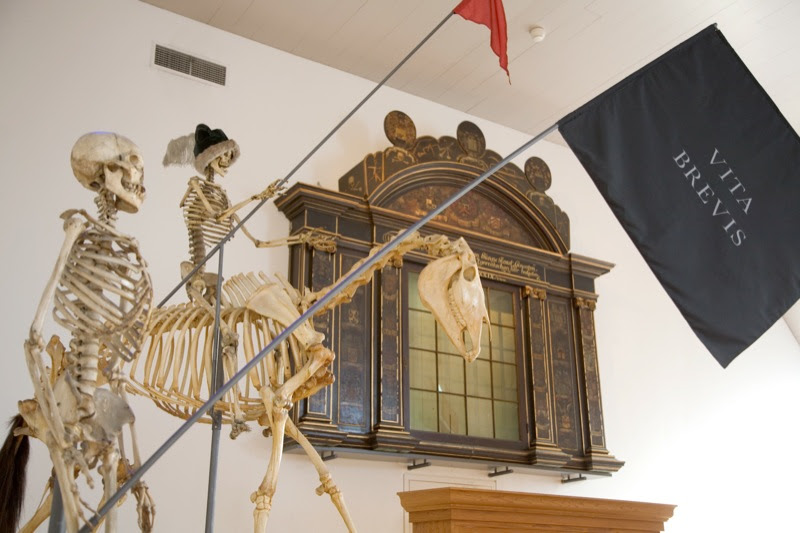 Morbid Anatomy The Magnificent Collection of the Museum
