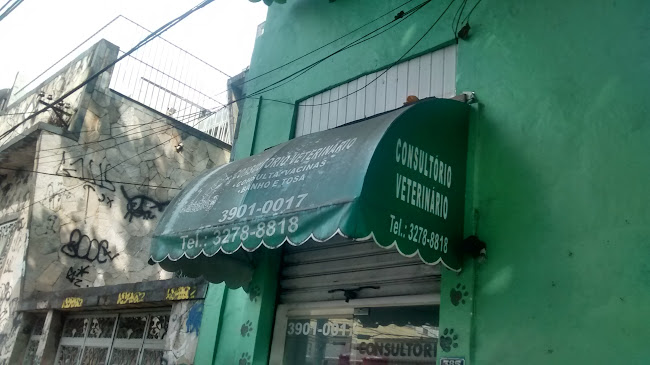 Consultório Veterinário Acãochego - Rio de Janeiro