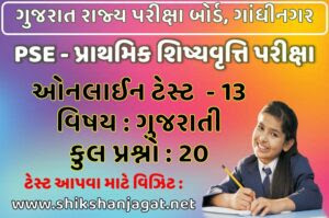 PSE Exam Online Test 13 - Gujarati
