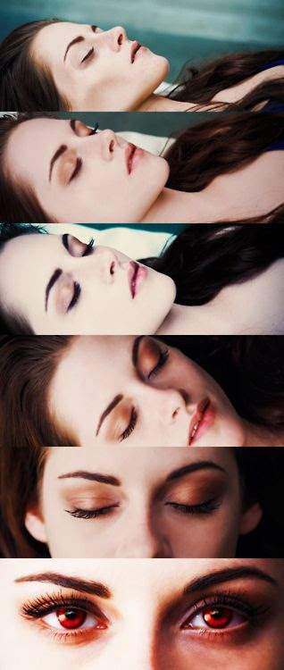 Image result for Bella transformation