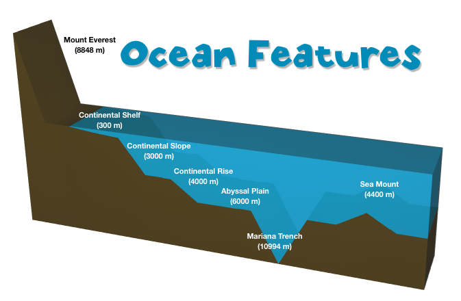 Ocean Floor Diagram 5th Grade - Diagram Media