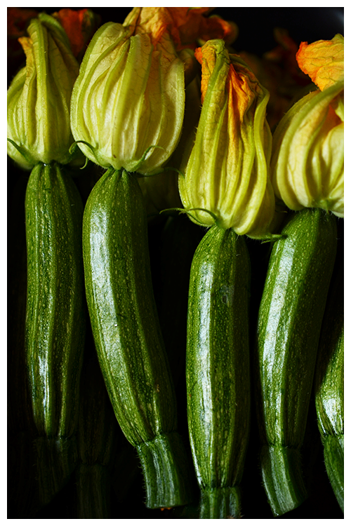 zucchini flowers© by Haalo