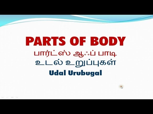 Body Parts Tamil And English : Human Body Parts Name In Tamil And
