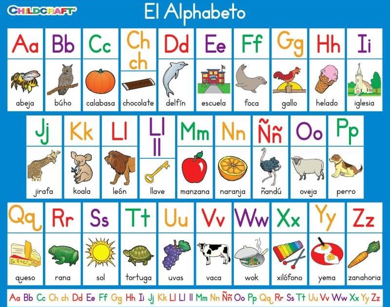 Animal In Spanish That Starts With S - VINAML