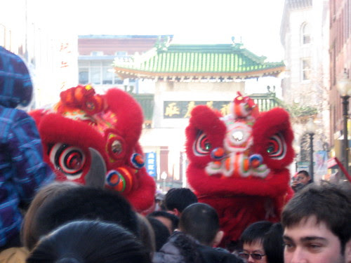 Year of the Dragon 7