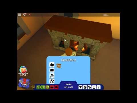 rocitizens duplication duplicate