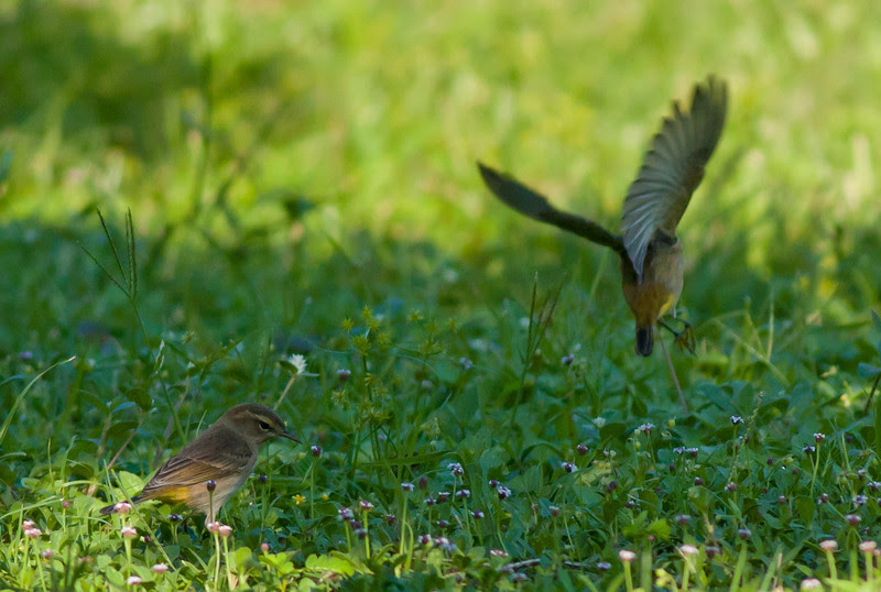 Photo & Video Sharing by SmugMug Photo & Video Sharing by SmugMug