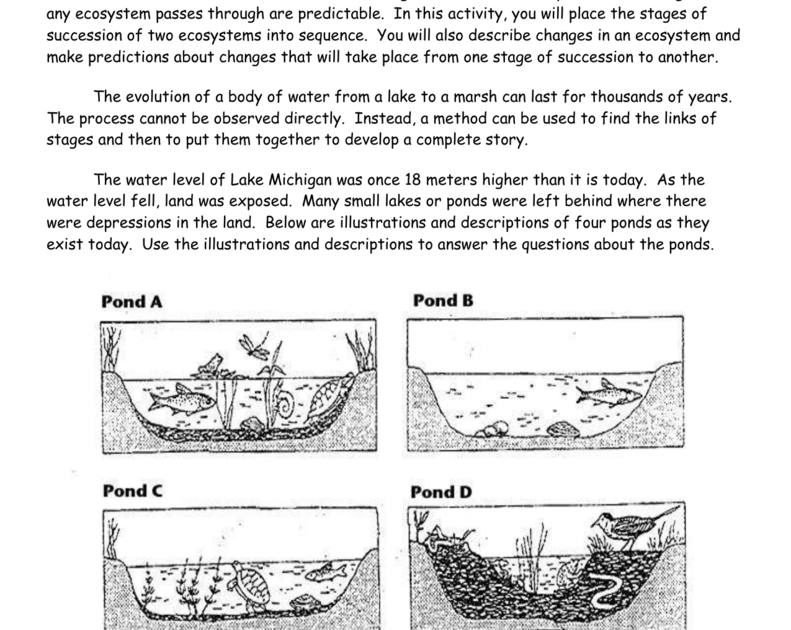 Ecosystem Worksheet Answer Key - Escolagersonalvesgui