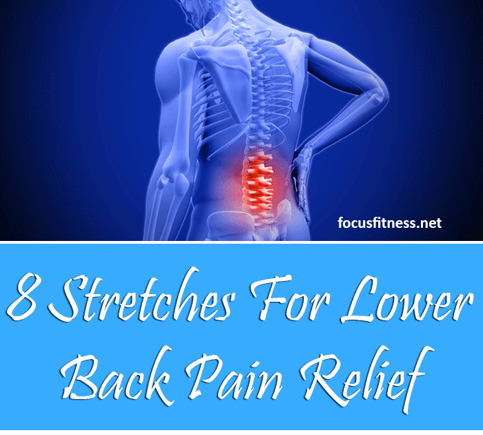 Effective Hip Flexor Stretch: 8 Stretch Exercises For Lower Back Pain ...