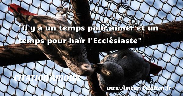 Citation Amour Prendre Le Temps Gratuit