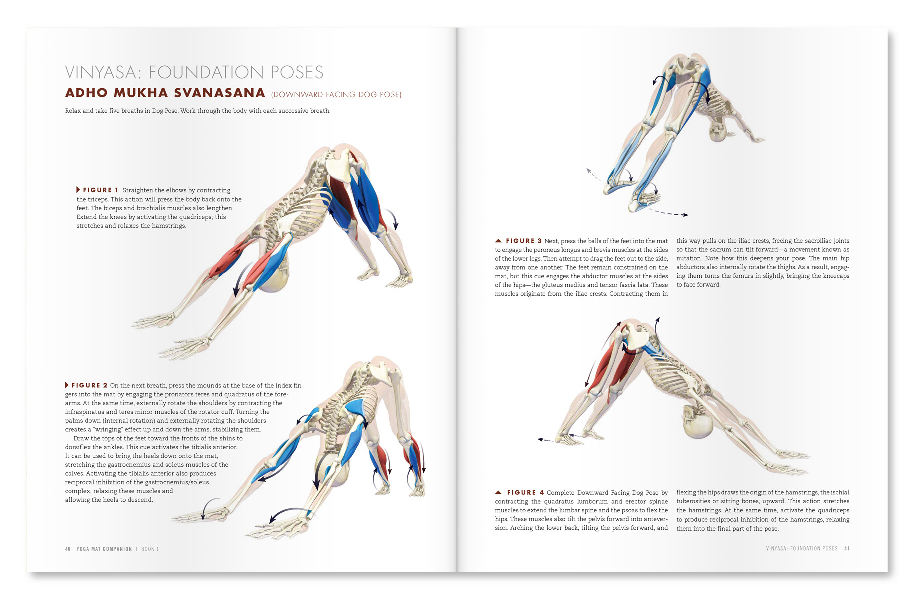 The Daily Bandha Here S A Tip To Help You Lower Your Heels