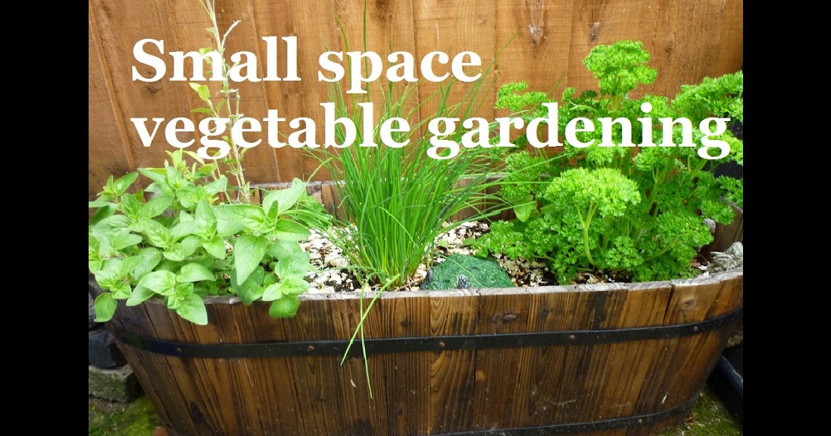 How To Start A Small Vegetable Garden From Scratch - 6 Essential Steps