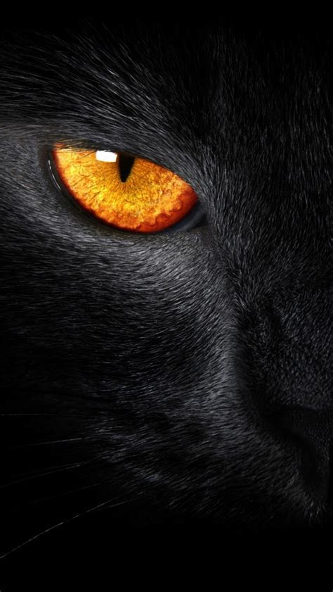 Black Panther iPhone Wallpaper WallpaperSafari Black Panther iPhone Wallpaper WallpaperSafari