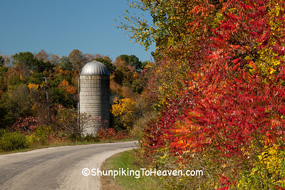 Silo and Sumac, Autumn Road Scene, Sauk County, Wisconsin