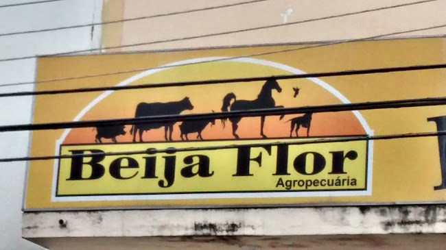 Beija Flor Agropecuária - Rio de Janeiro