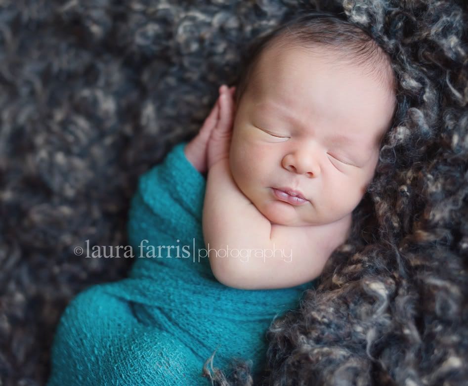 boise newborn baby photographer