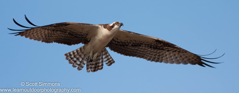 Photo & Video Sharing by SmugMug Photo & Video Sharing by SmugMug
