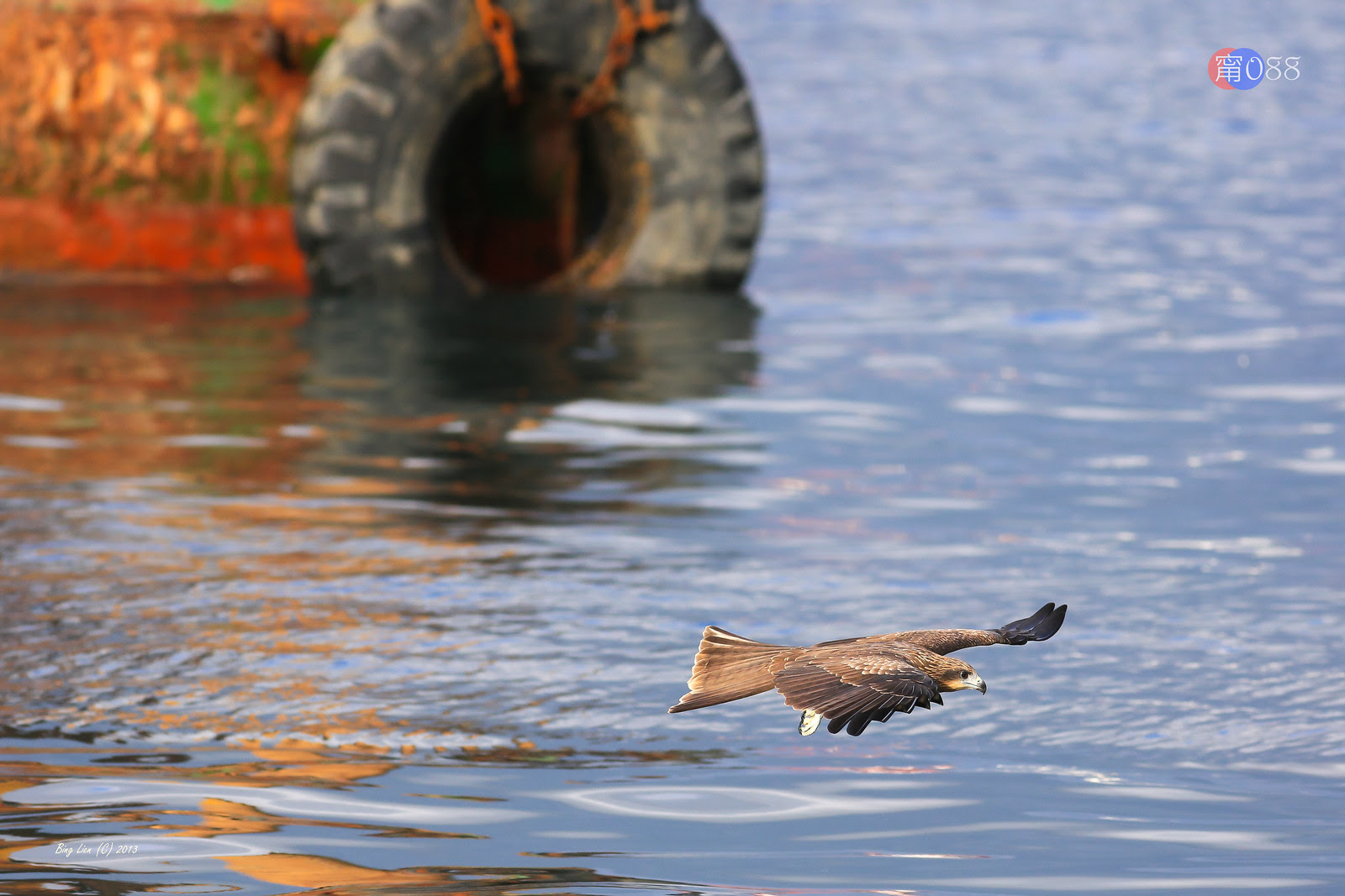 WATER_BING6854_LR