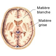 matière_blanche