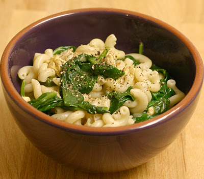 Macaroni and cheese with chicken and spinach
