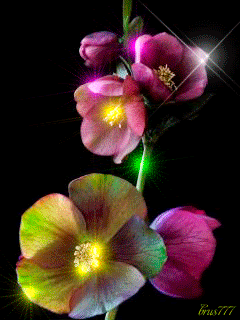 Очаровательные цветы
