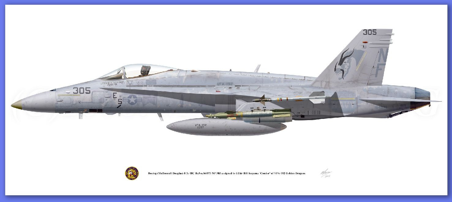 F 18 Super Hornet Cutaway