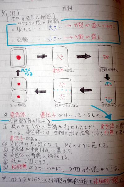 適切な 6 年 宿題 自学 ノート理科 ベジュウェレン