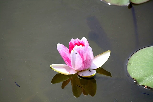 2 (640x427, 186Kb)