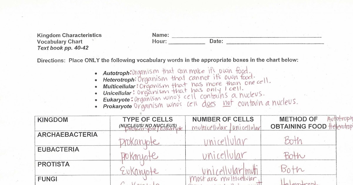 Dna Mutation Simulation Answer Key - 32 Gene Expression Transcription