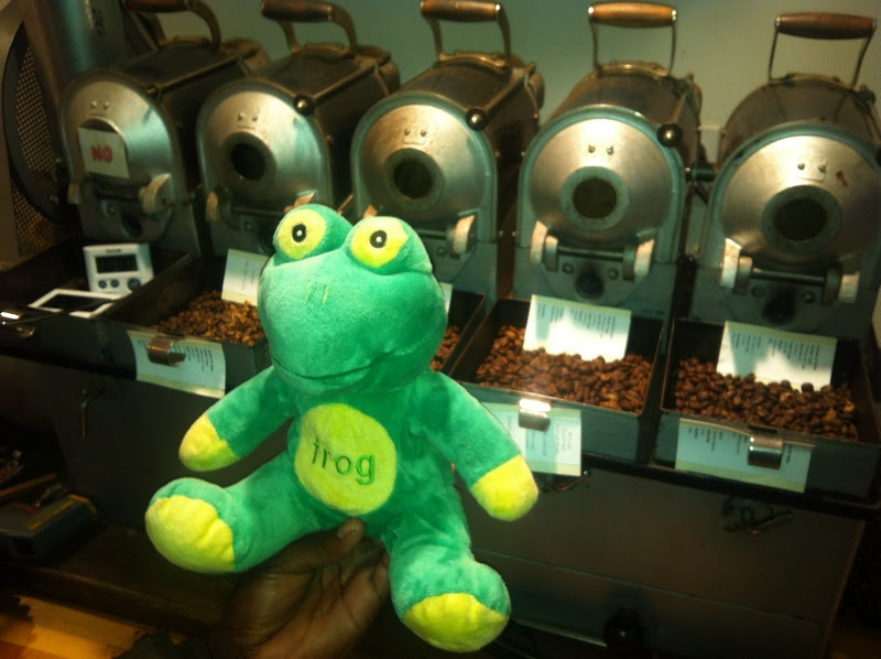 Feb13-11AtlasLab Frog Q at Atlas Lab