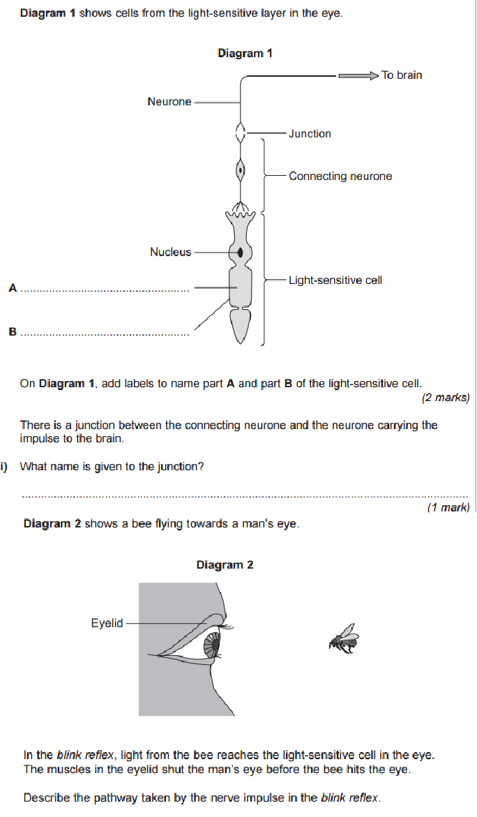 math worksheet subtraction Worksheet Worksheet Arc Reflex ...