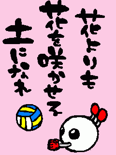 すべての花の画像 綺麗なポエム バレーボール 壁紙