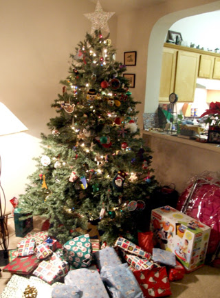Merry Christmas from Kyle, Texas Daily Photo