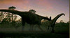 sunset hunt2