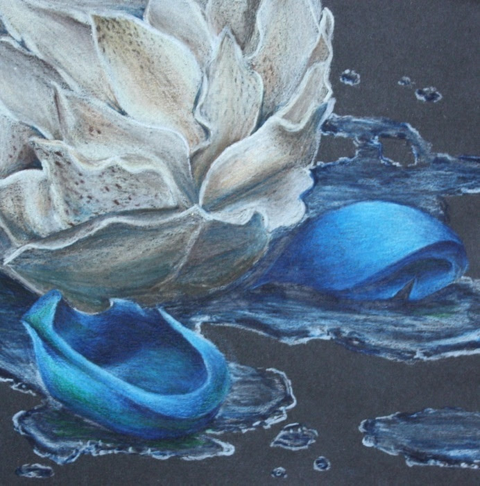 Colour Pencil Drawing On Black Paper - pencildrawing2019
