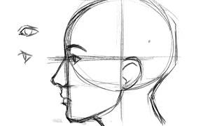 How To Draw A Womans Face Side View - Tera Photo Graphy