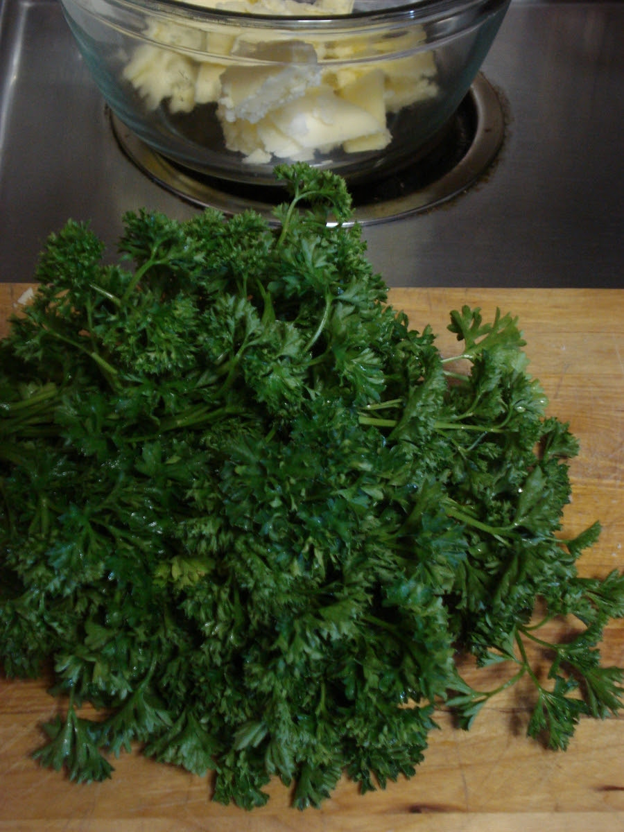 02 c Curly Parsley