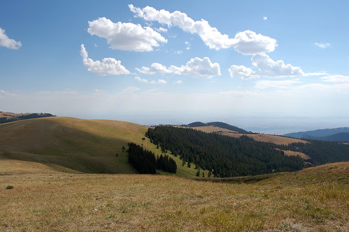 Big Horn