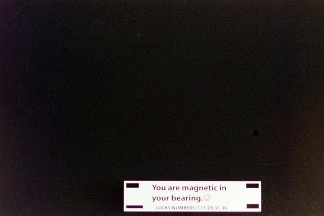 Fortune Cookie Disposable Camera