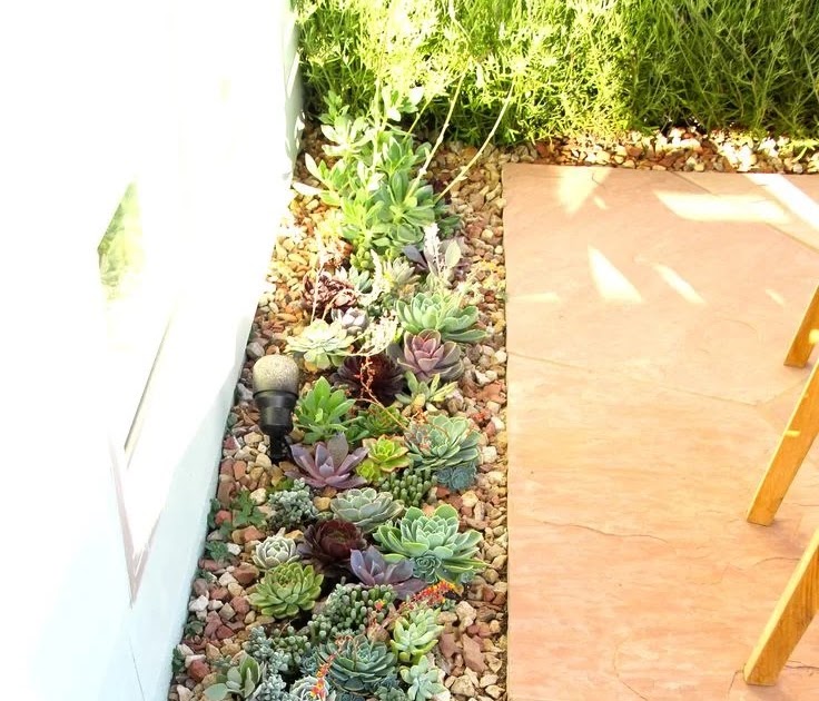 Outdoor Succulent Garden Design - 14 Lovely Succulent Gardens To Spice