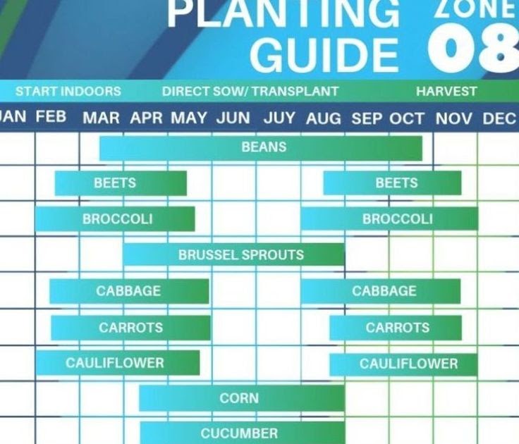 Clemson Vegetable Planting Guide