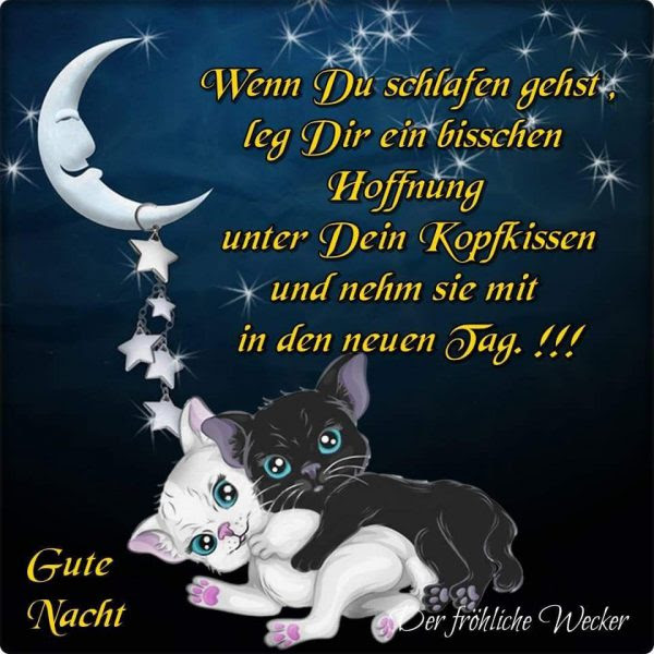 Gute Nacht Mein Schatz Sprüche