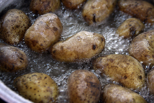 Papas Arrugas con Mojo 124