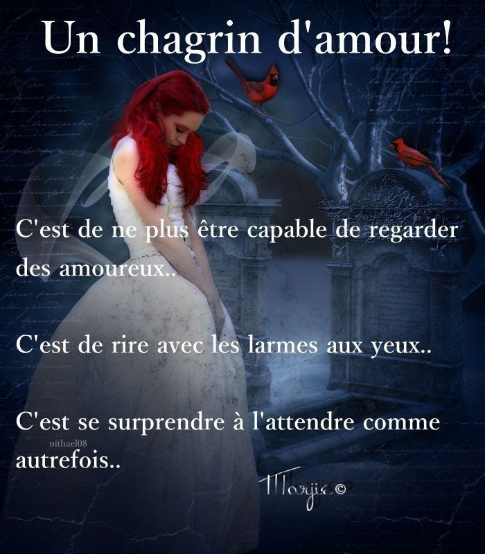 Citations De Tristesse Et D Amour Best Citations D Amour
