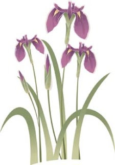 Free 220 Iris Flower Svg Free SVG PNG EPS DXF File