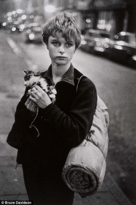 Bruce Davidson, 1960, Girl Holding Kitten